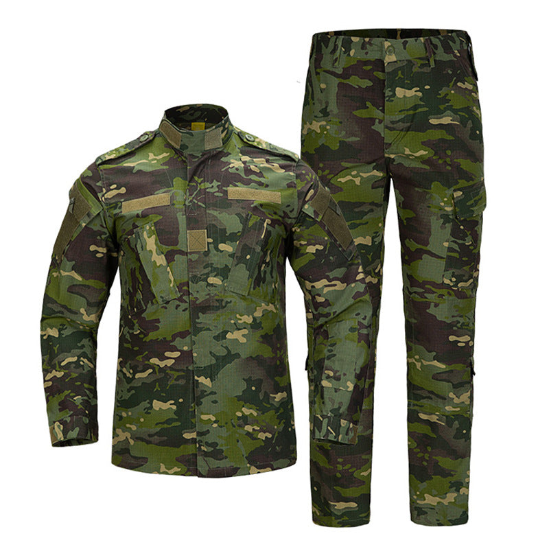 Ensemble Treillis Camouflage Tactique – Veste & Pantalon