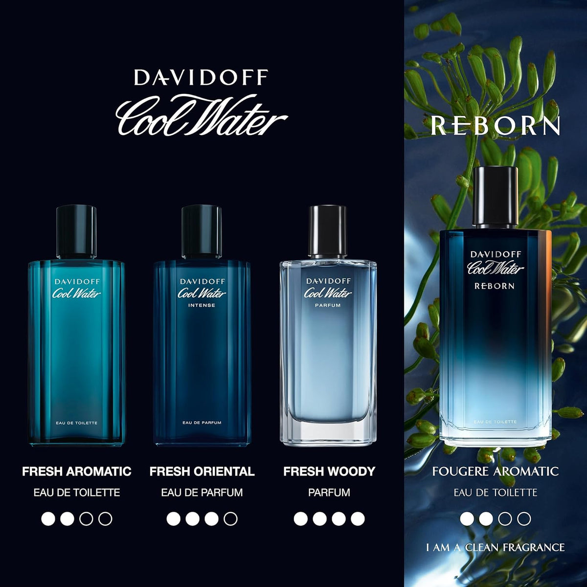 Davidoff Cool Water Intense Perfume for Men Eau De Parfum 75ML