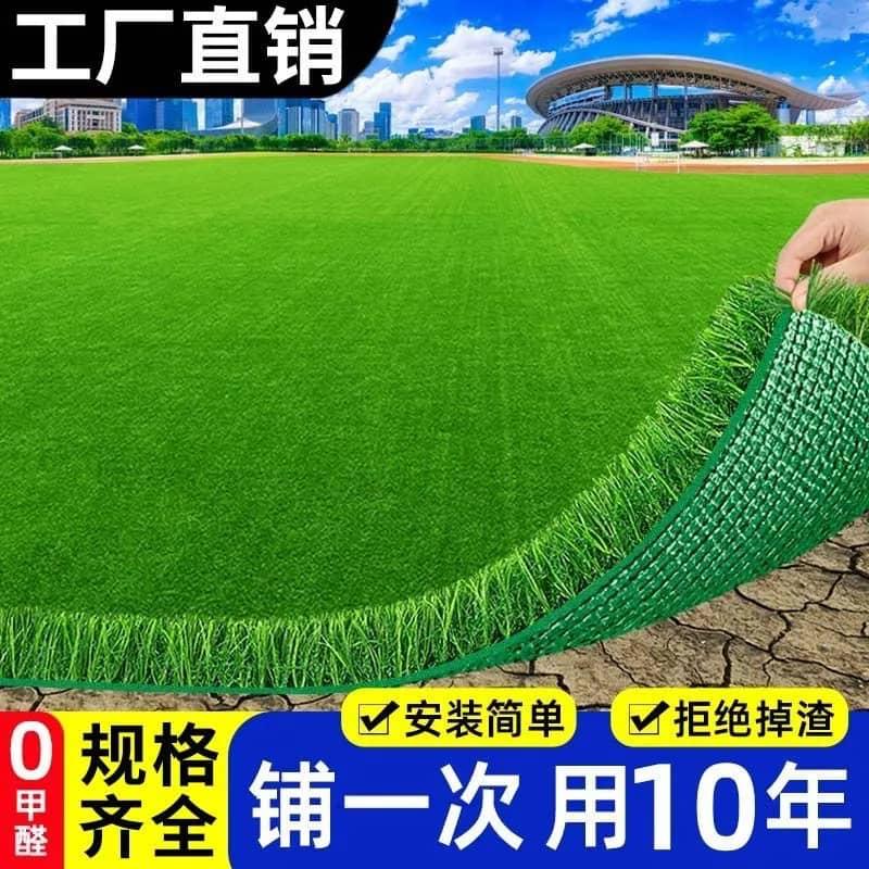 pelouse artificielle ( tapis )