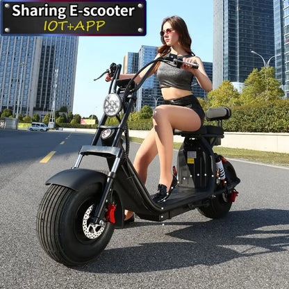 Scooter électrique Citycoco avec batterie amovible – cadre en acier, 60 V