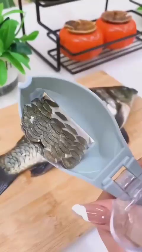 Écailleur de Poisson avec Réservoir Collecteur